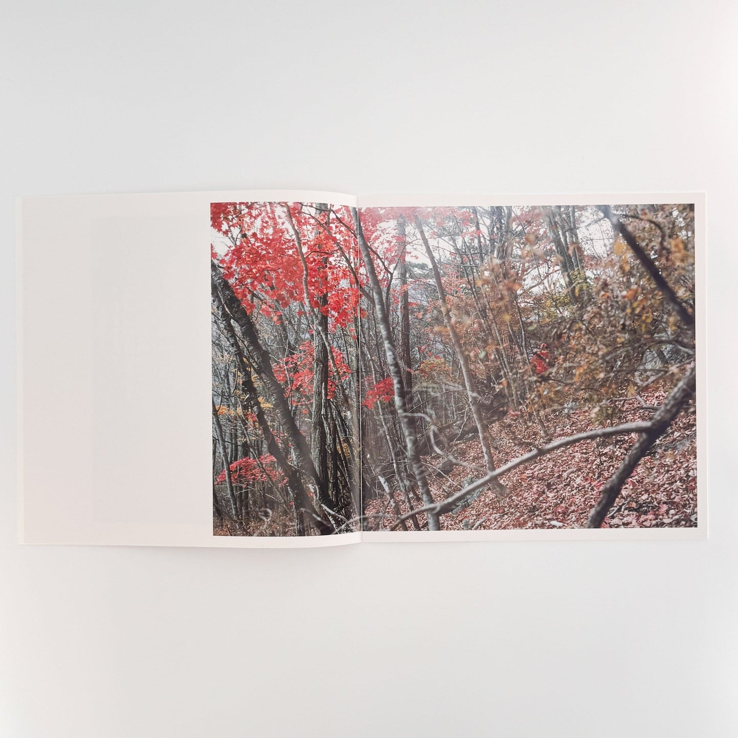 田附勝　その血はまだ赤いのか　2011.11.19 - 20 - SLANT - 文福