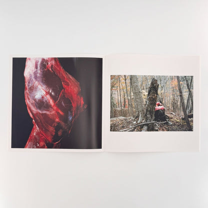 田附勝　その血はまだ赤いのか　2011.11.19 - 20 - SLANT - 文福