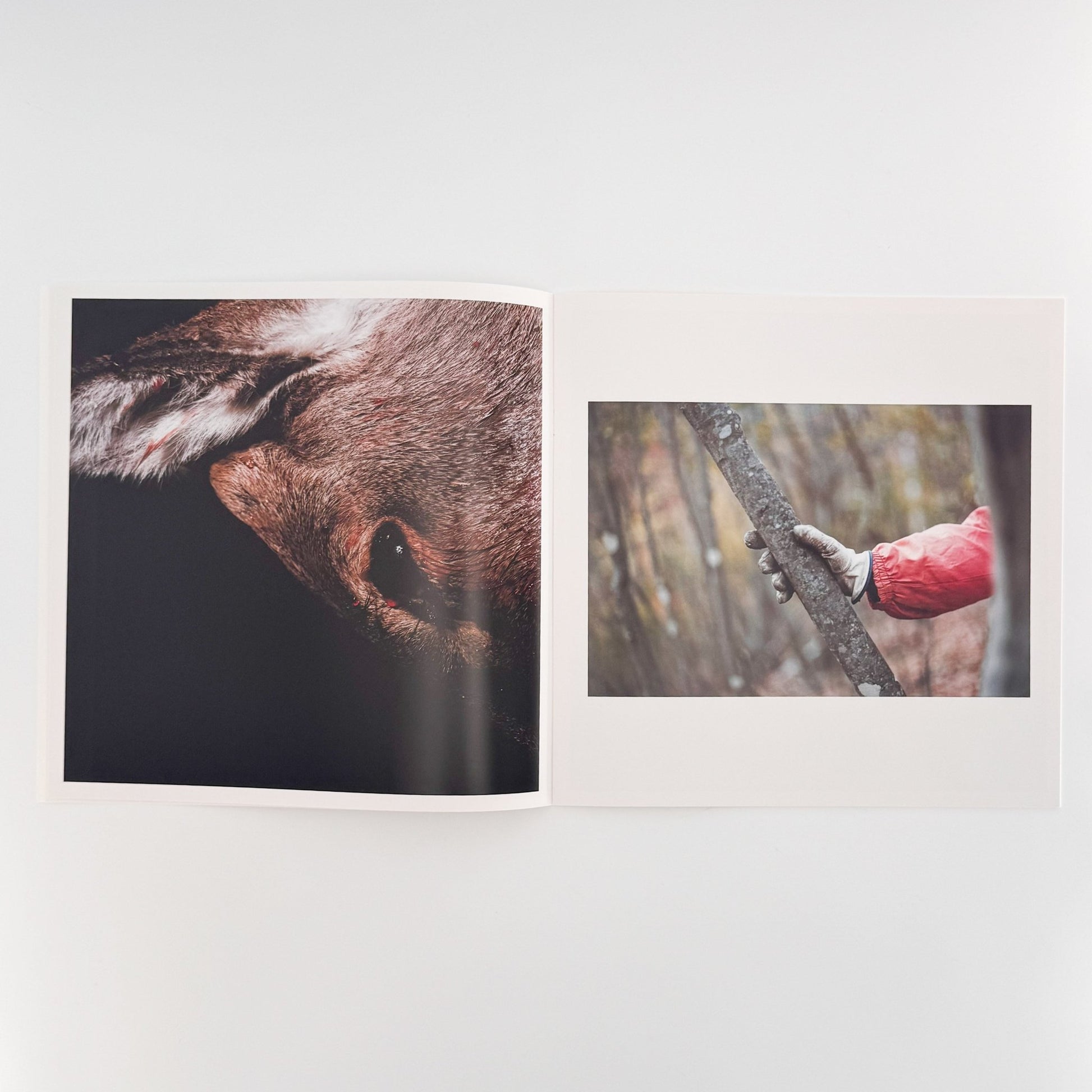 田附勝　その血はまだ赤いのか　2011.11.19 - 20 - SLANT - 文福