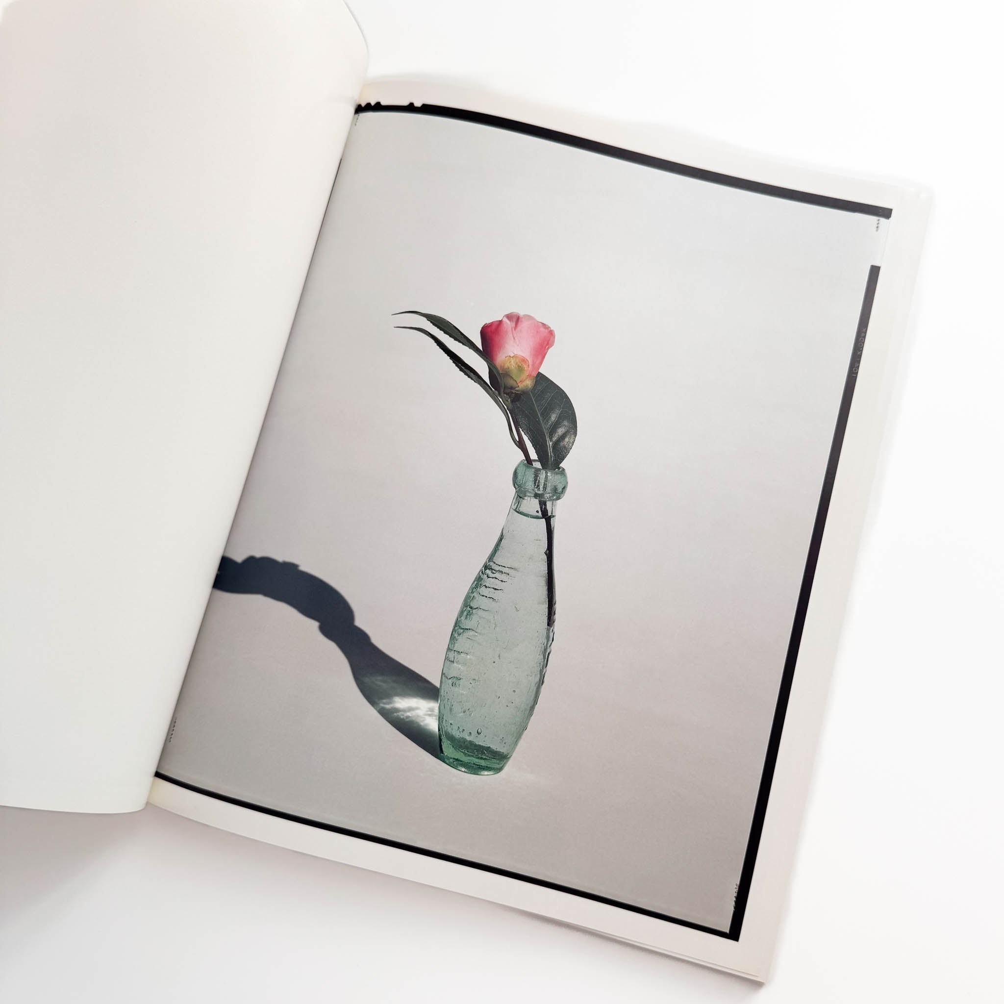 注目！希少[写真集] 光琳社 FLOWERS 上田義彦写真集 上田義彦写真集 FLOWERS – 文福