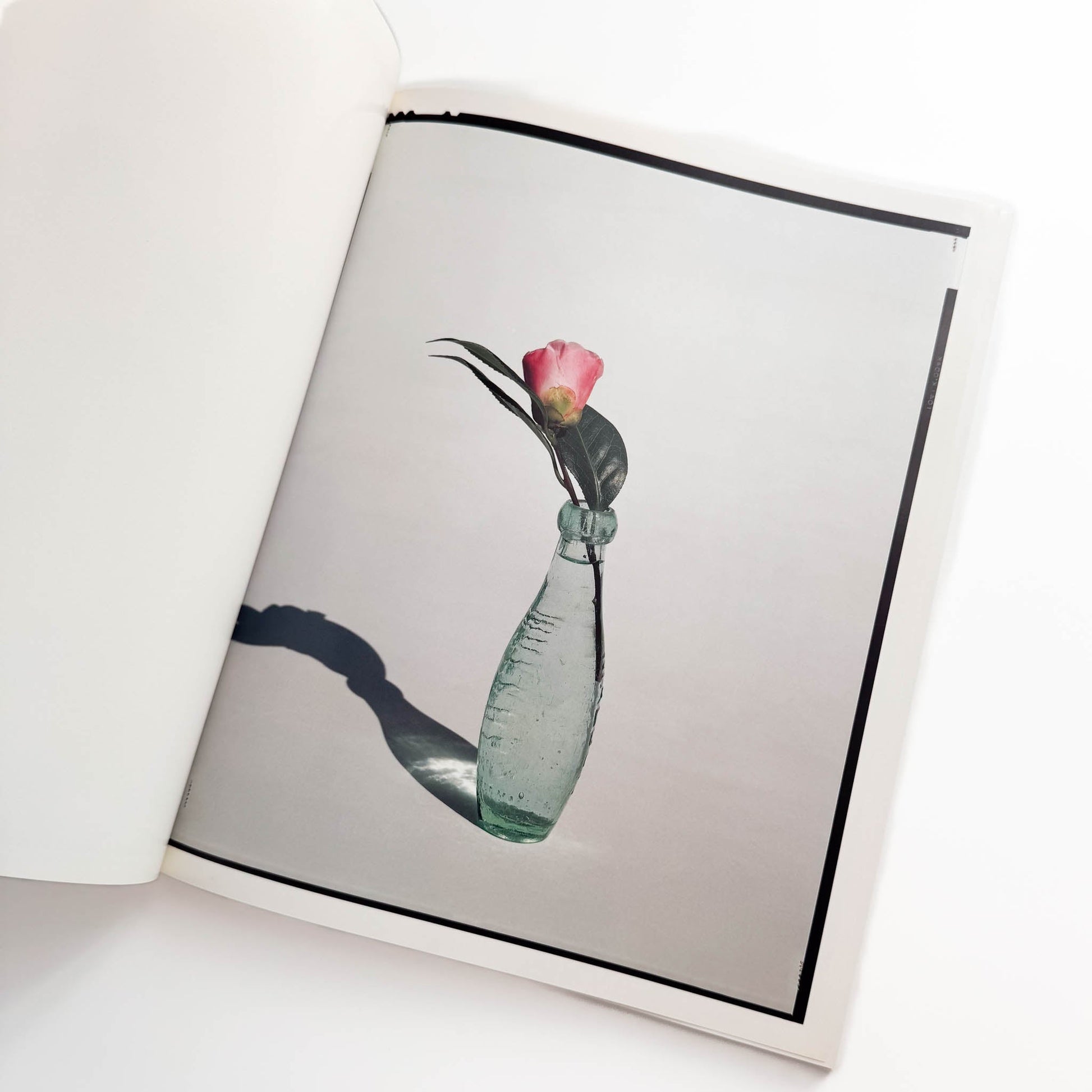 上田義彦　FLOWERS 光琳社出版
