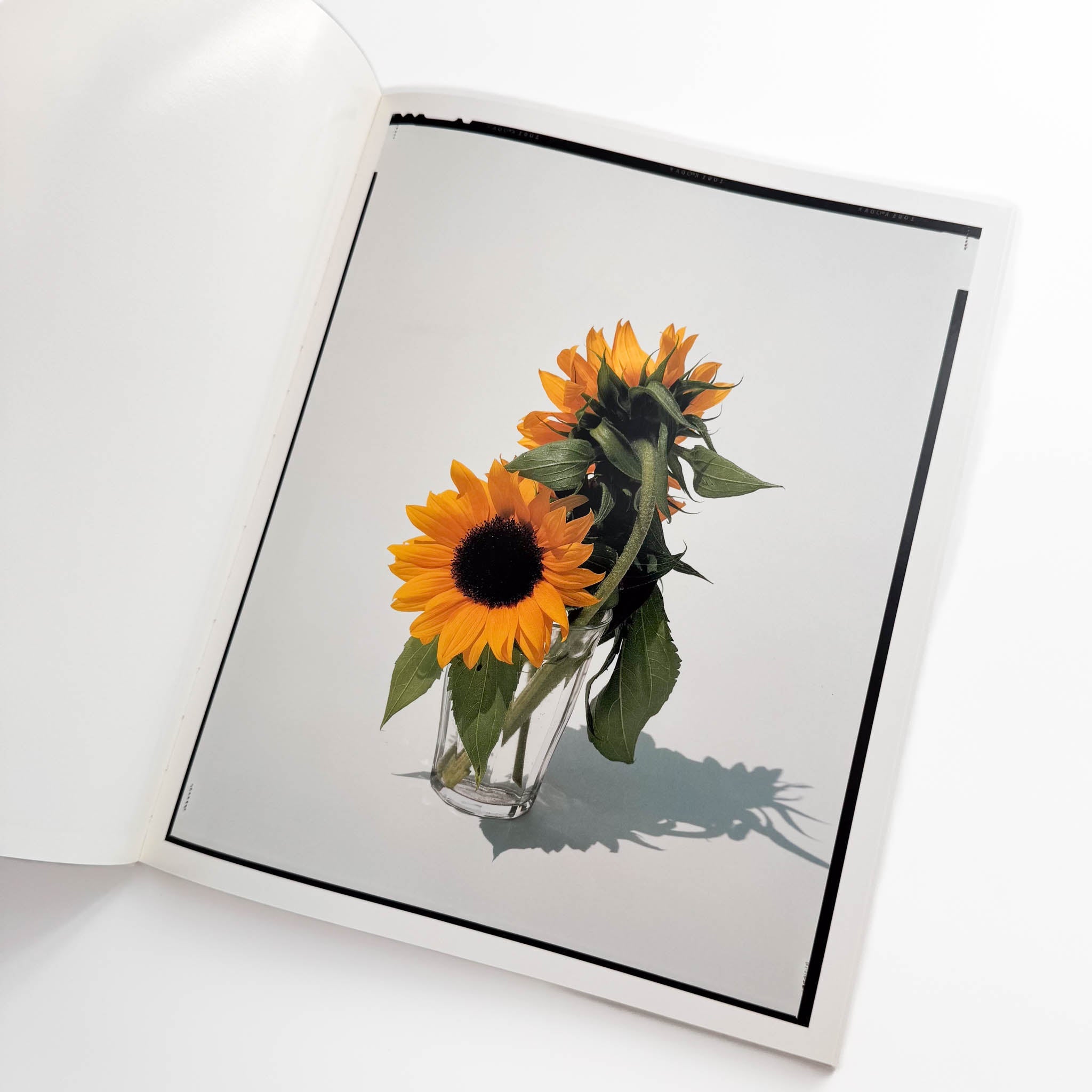 注目！希少[写真集] 光琳社 FLOWERS 上田義彦写真集 上田義彦写真集 FLOWERS – 文福