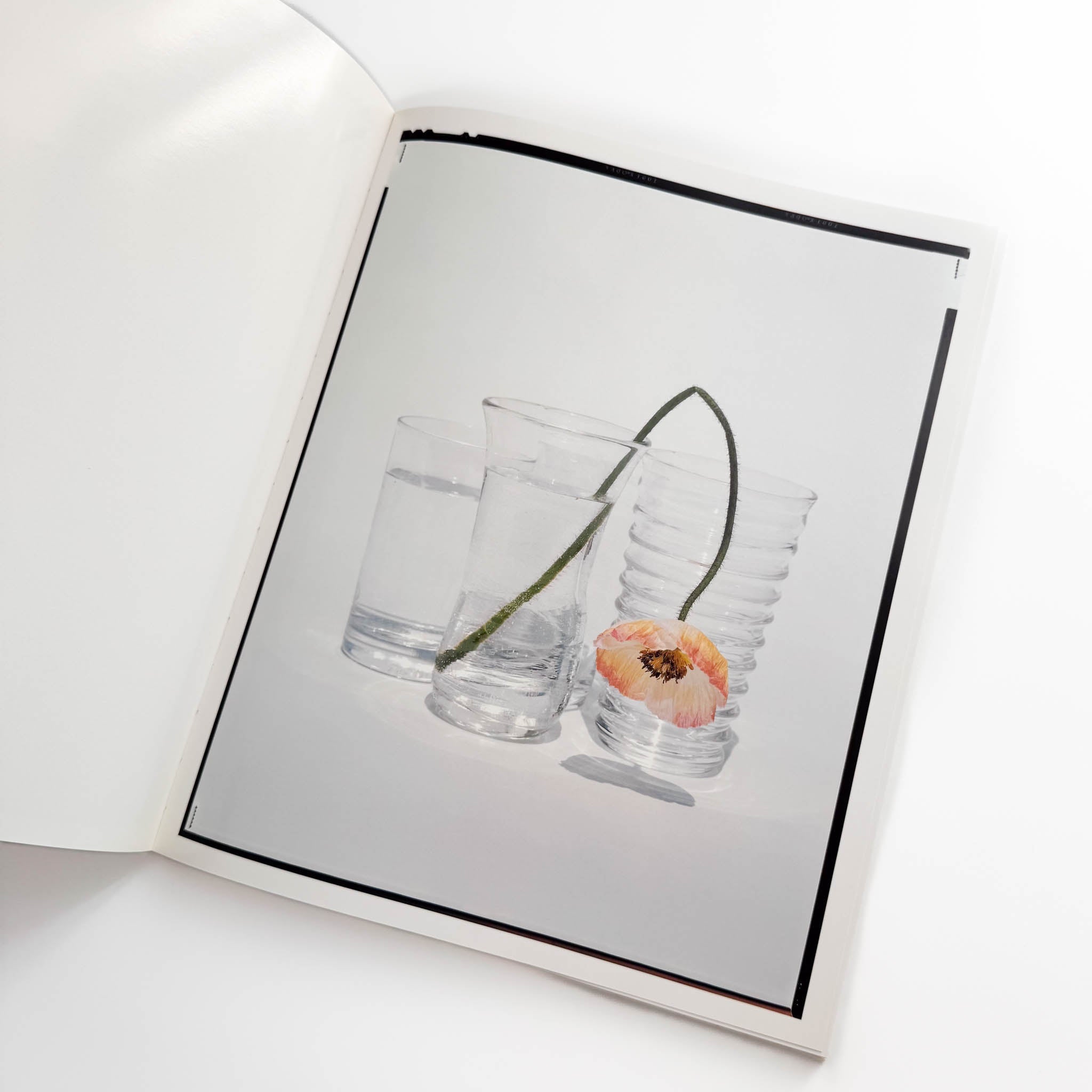 【メルカリ便・美本】上田義彦写真集「Flowers」 メルカリ便・美本】上田義彦写真集「Flowers」 Flowers / 上田