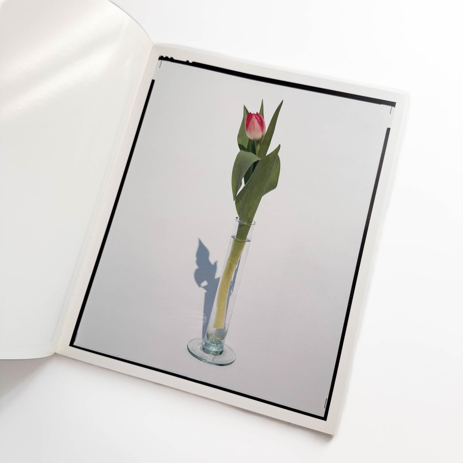 上田義彦　FLOWERS 光琳社出版