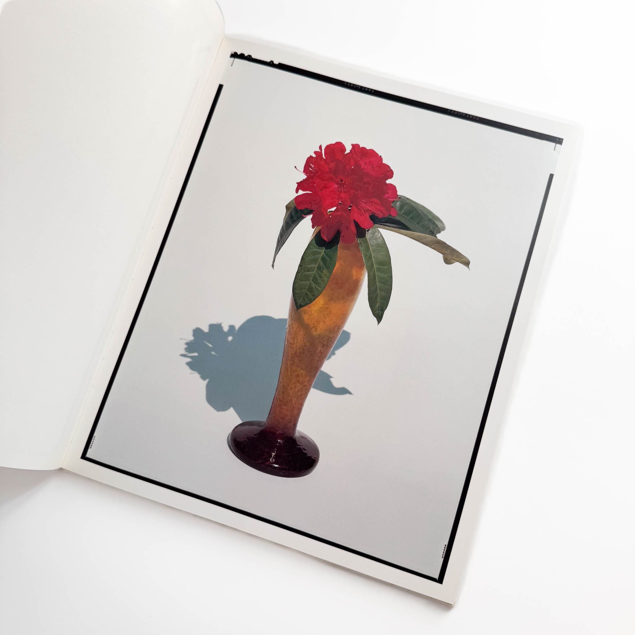 上田義彦写真集 FLOWERS – 文福