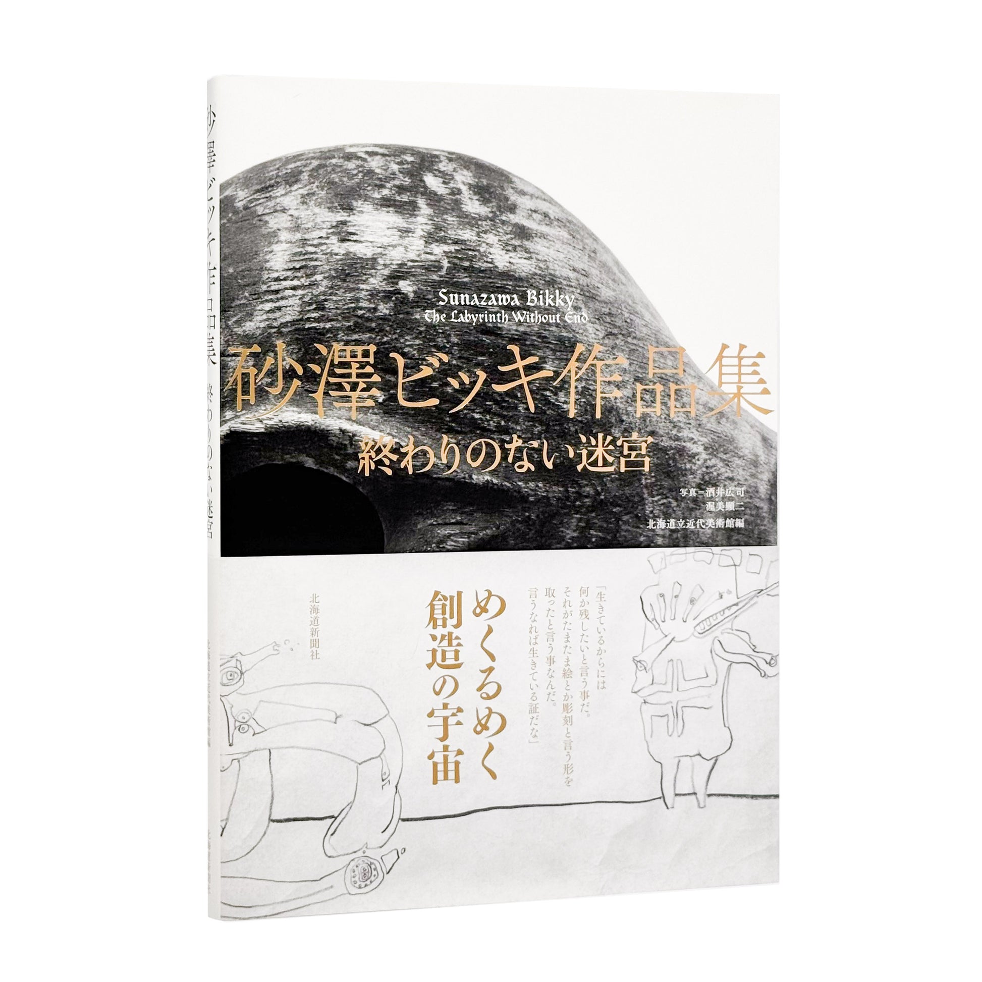 砂澤ビッキ : 終わりのない迷宮｜北海道新聞社 - 文福 BUNBUKU