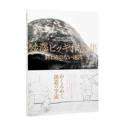 砂澤ビッキ : 終わりのない迷宮｜北海道新聞社 - 文福 BUNBUKU