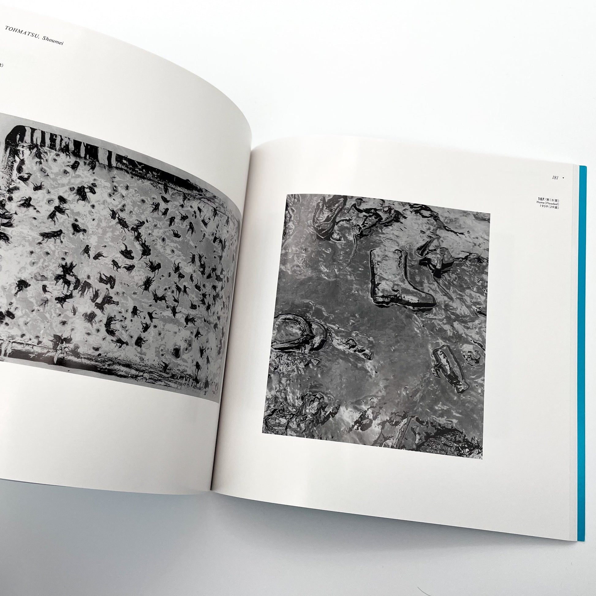 25人の20代の写真　ヤング・ポートフォリオ　Works By 25 Photographers in Their 20s