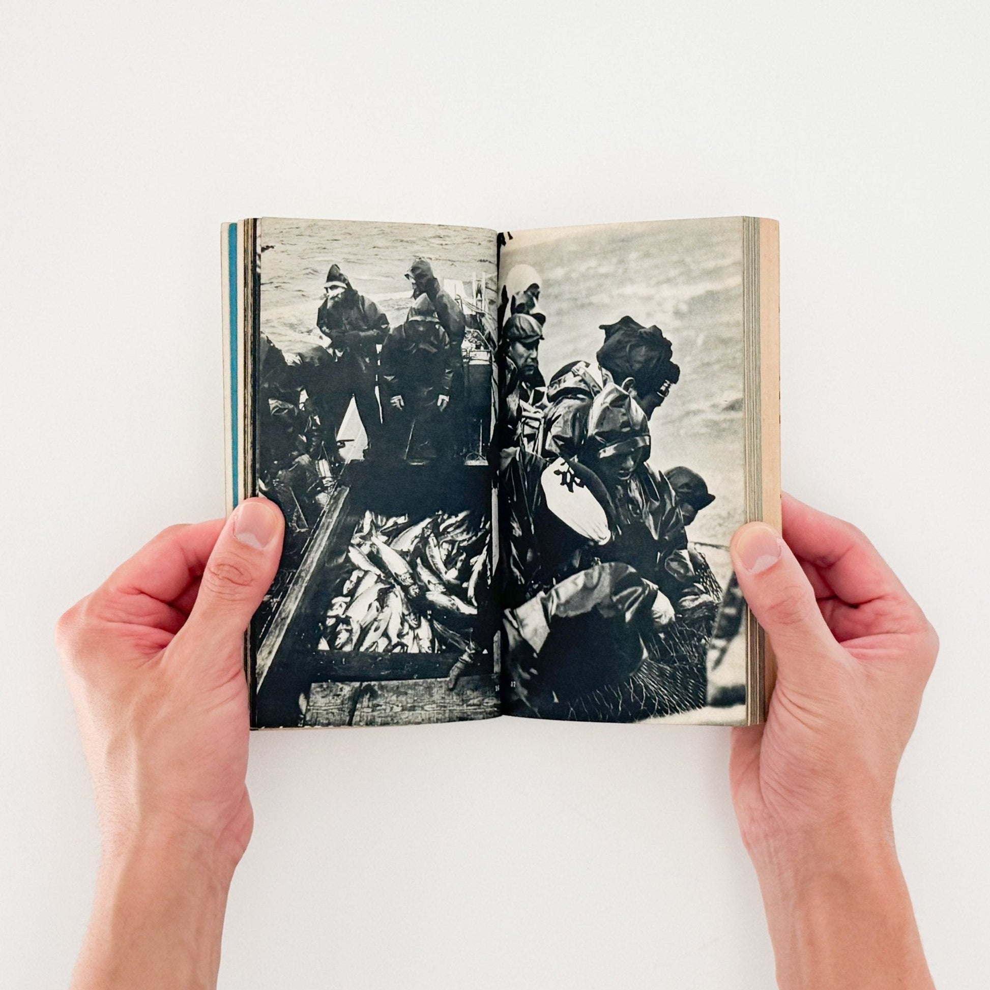 Here is JAPAN 2号 - 文福