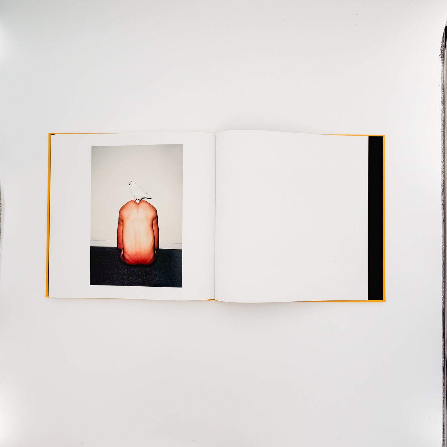 任航 : Ren Hang　Republic