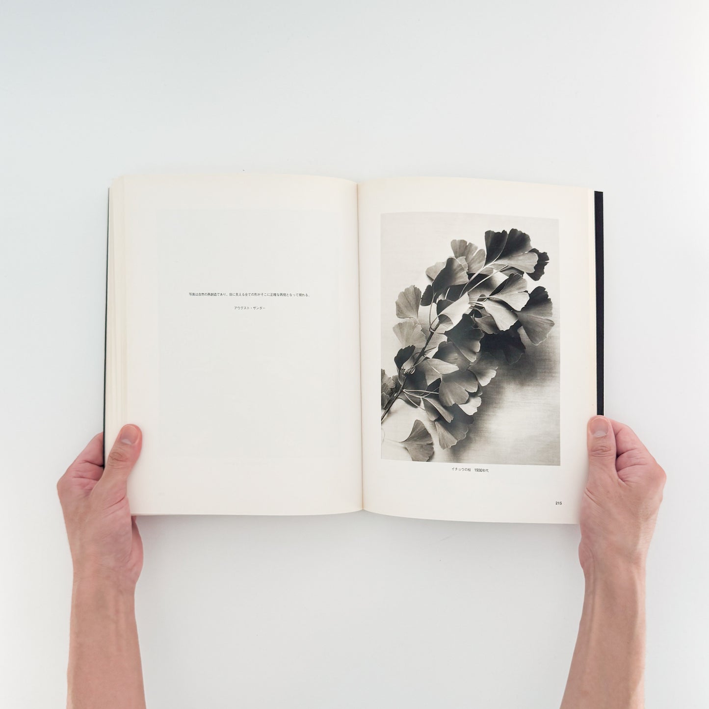 アウグスト・ザンダー写真集　肖像の彼方 / ワタリウム美術館、アルス・ニコライ出版 - 文福 BUNBUKU