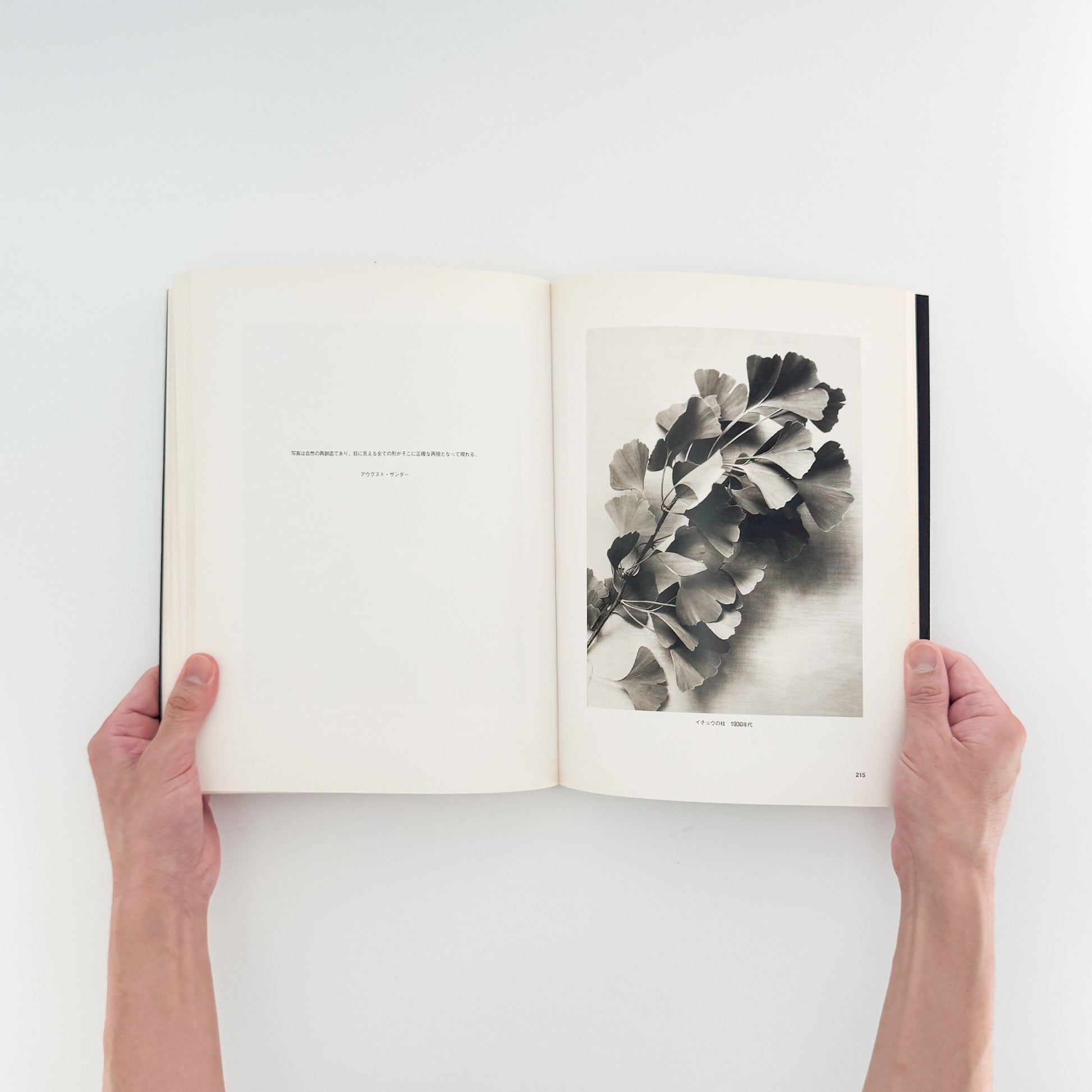 アウグスト・ザンダー写真集　肖像の彼方 / ワタリウム美術館、アルス・ニコライ出版 - 文福 BUNBUKU