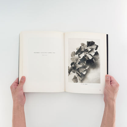 アウグスト・ザンダー写真集　肖像の彼方 / ワタリウム美術館、アルス・ニコライ出版 - 文福 BUNBUKU