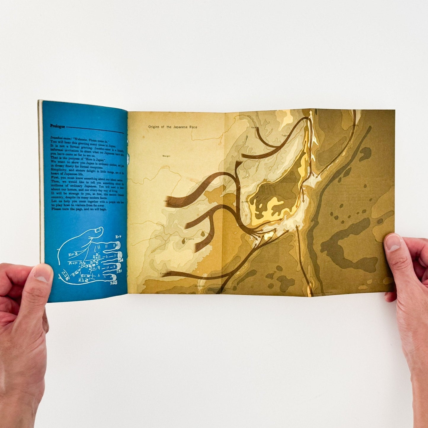 Here is JAPAN 2号 - 文福