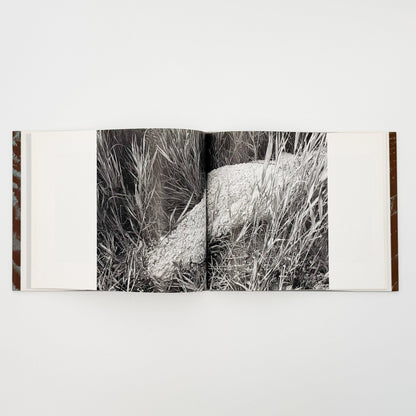 中里和人　湾岸原野 - 六興出版 - 文福