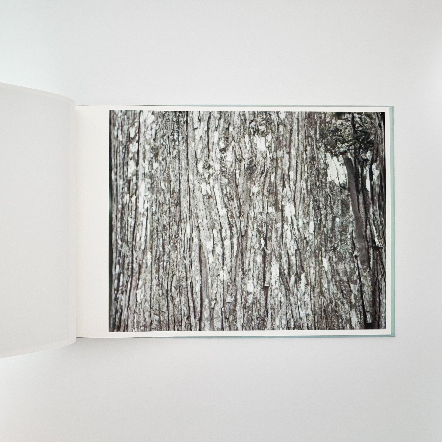 鈴木理策　海と山のあいだ Between the Sea and the Mountain – Kumano（サイン入り） - 文福