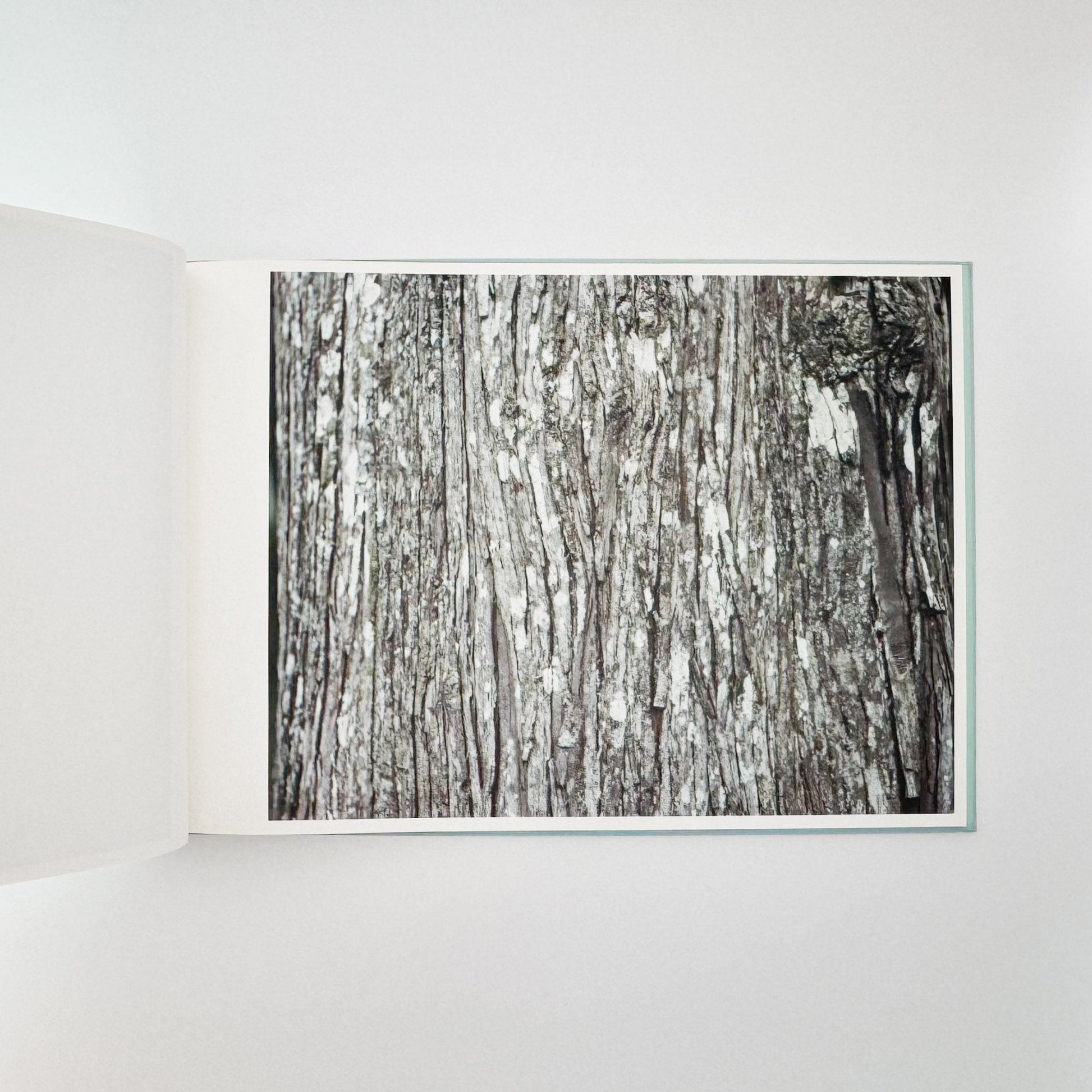 鈴木理策　海と山のあいだ Between the Sea and the Mountain – Kumano（サイン入り） - 文福