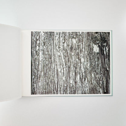 鈴木理策　海と山のあいだ Between the Sea and the Mountain – Kumano（サイン入り） - 文福