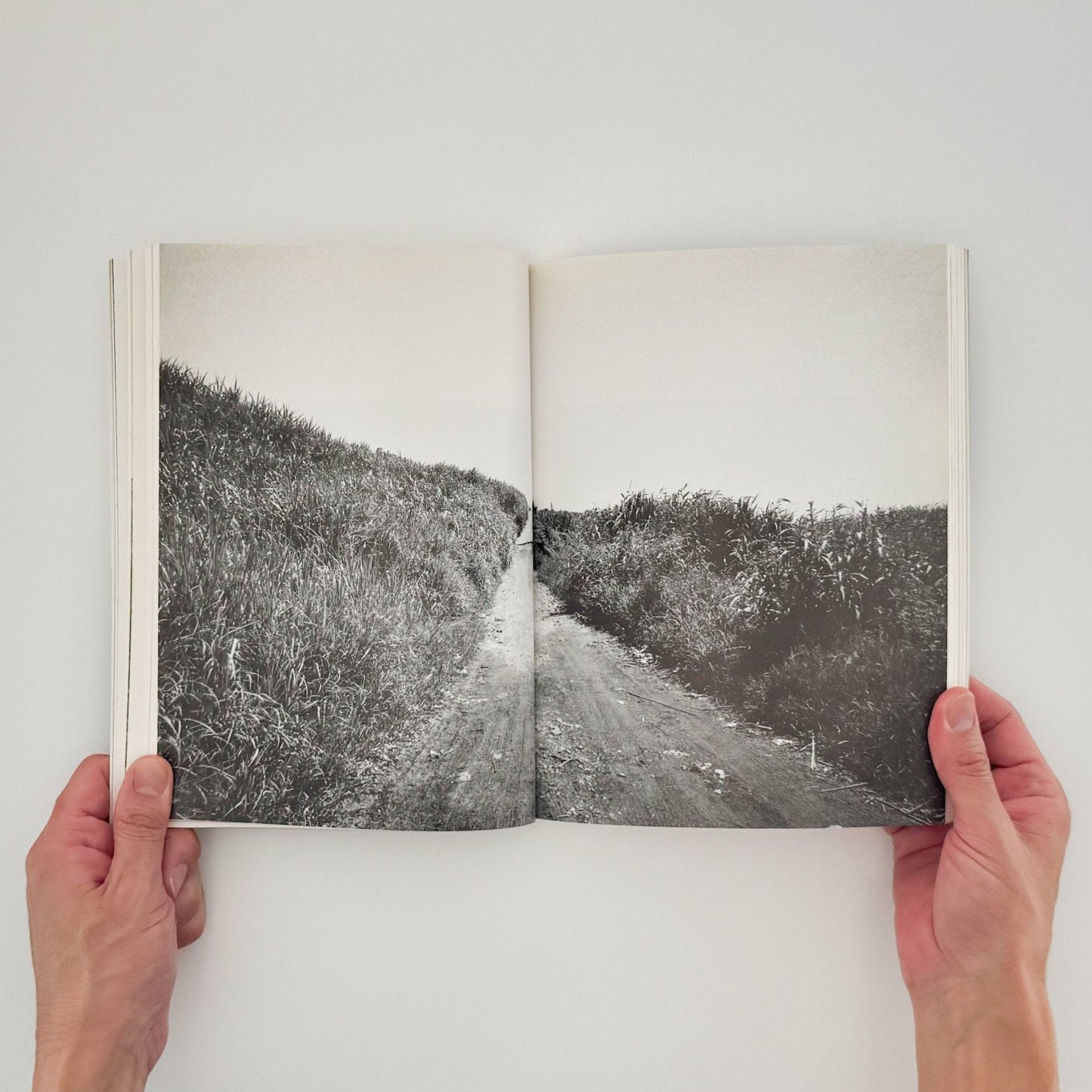 北井一夫　1970年代NIPPON（サイン入り） - 文福