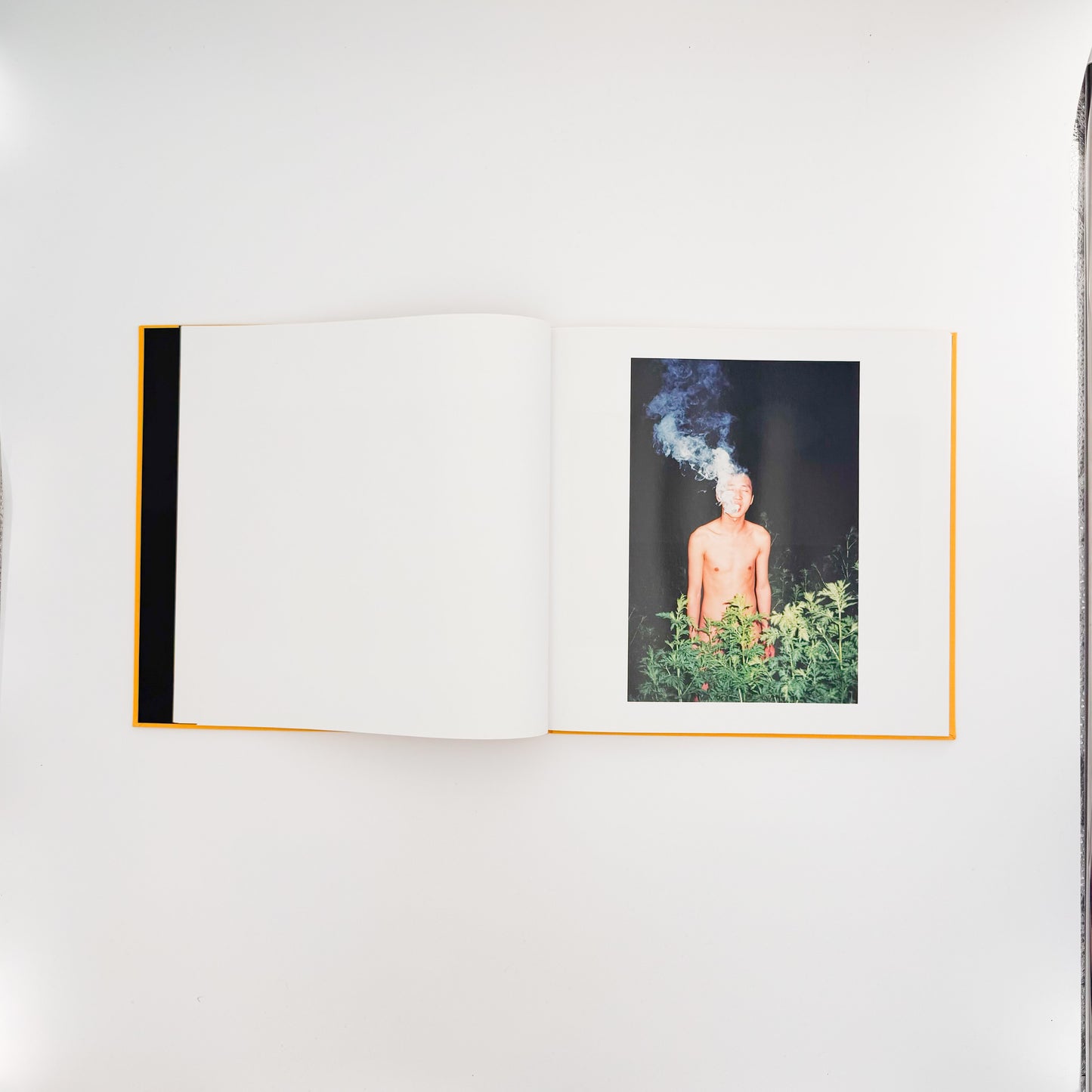 任航 : Ren Hang　Republic