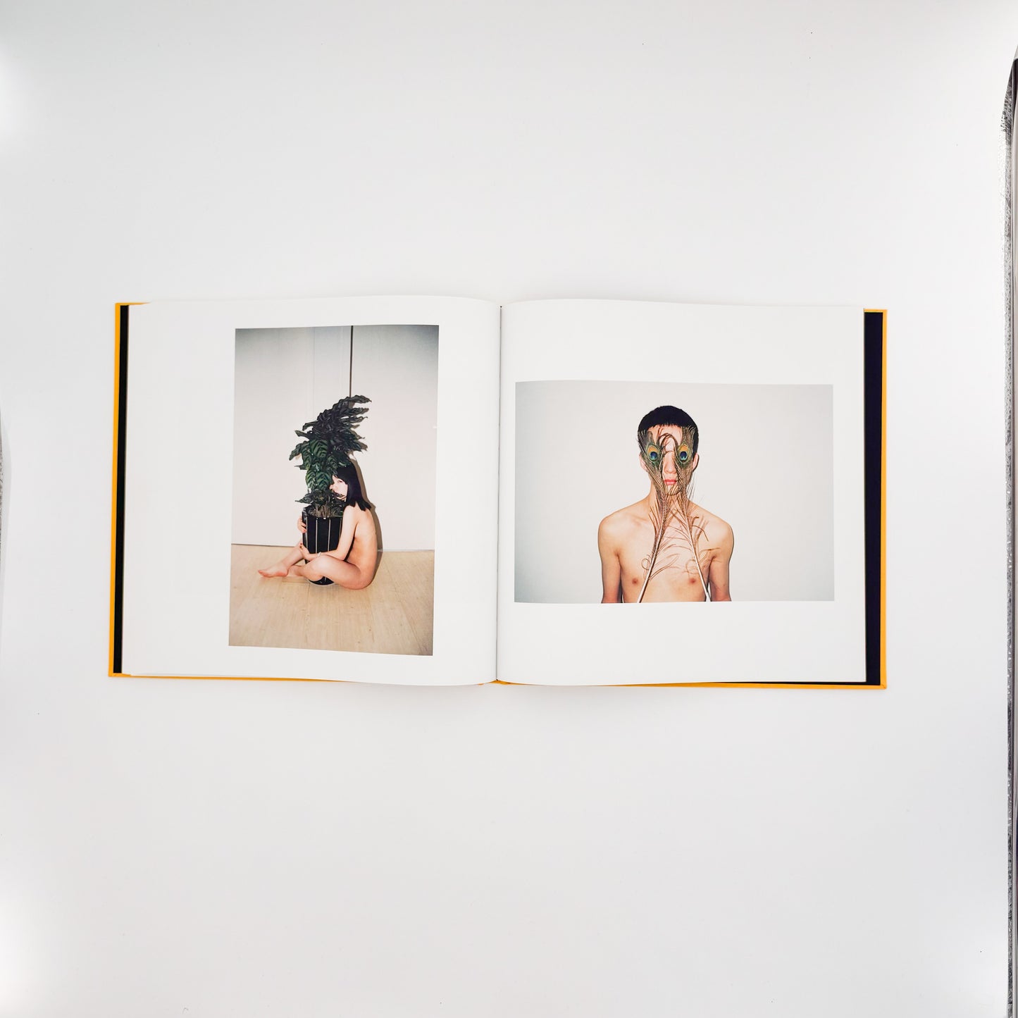 任航 : Ren Hang　Republic