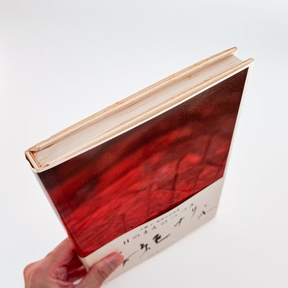 大橋仁: OHASHI Jin『目のまえのつづき / MENOMAENO TSUDUKI』青幻舎刊行、MATCH&amp;Co.アートディレクションによる初写真集