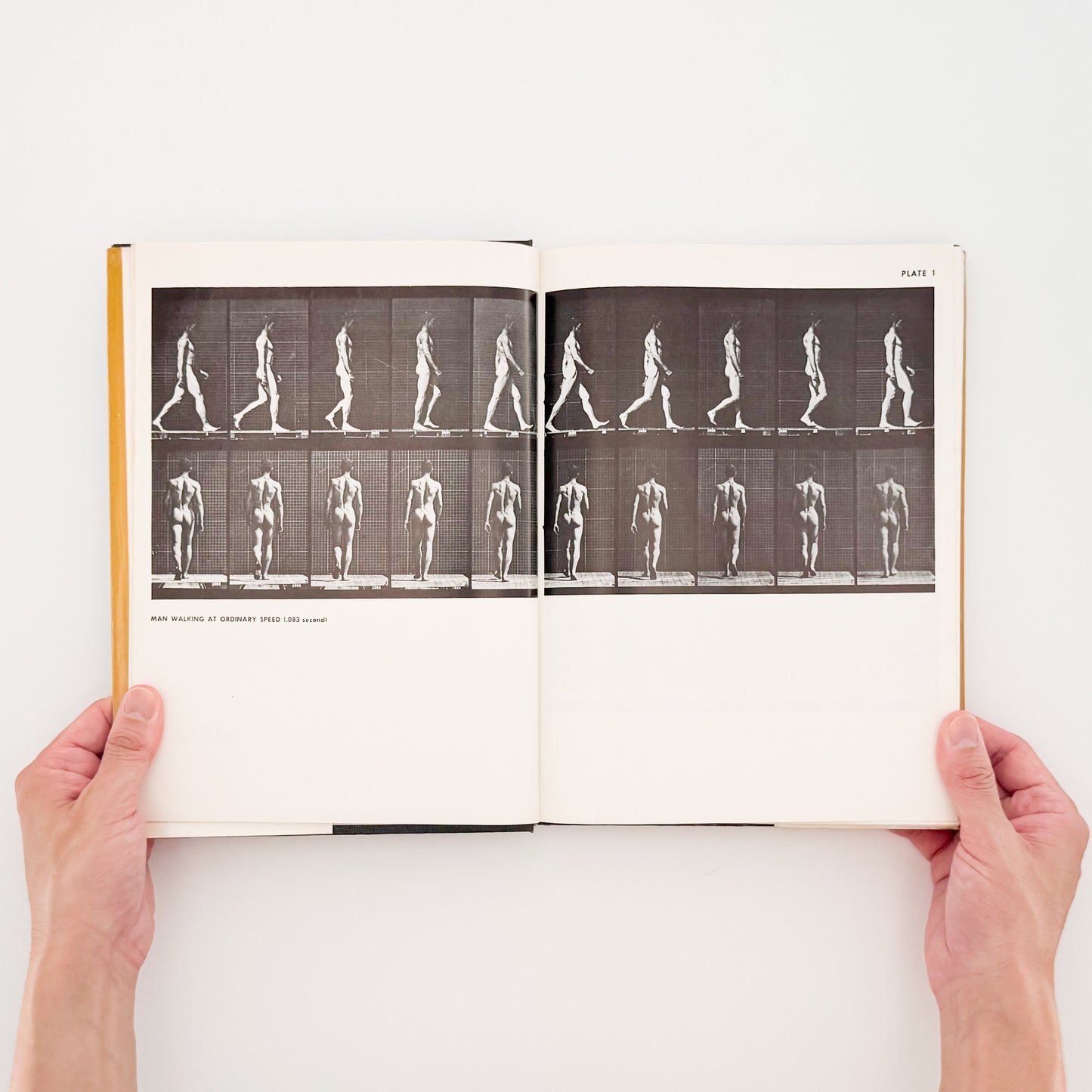 Eadweard Muybridge : Animals in Motion , The Human Figure in Motion｜DOVER - 文福