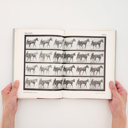 Eadweard Muybridge : Animals in Motion , The Human Figure in Motion｜DOVER - 文福