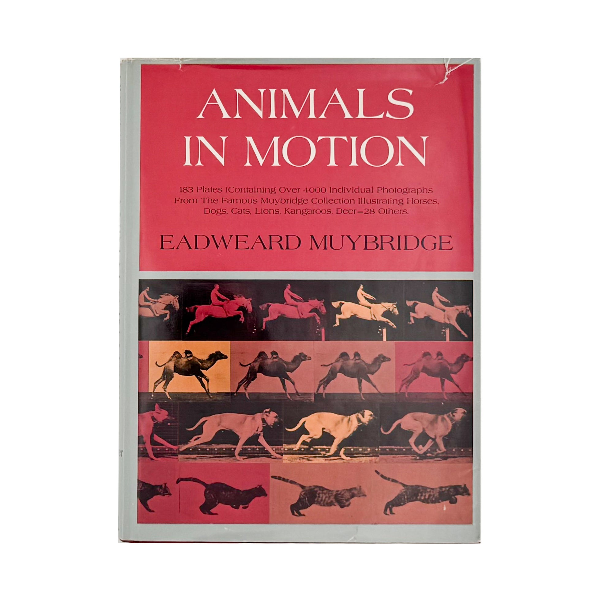 Eadweard Muybridge : Animals in Motion , The Human Figure in Motion｜DOVER - 文福