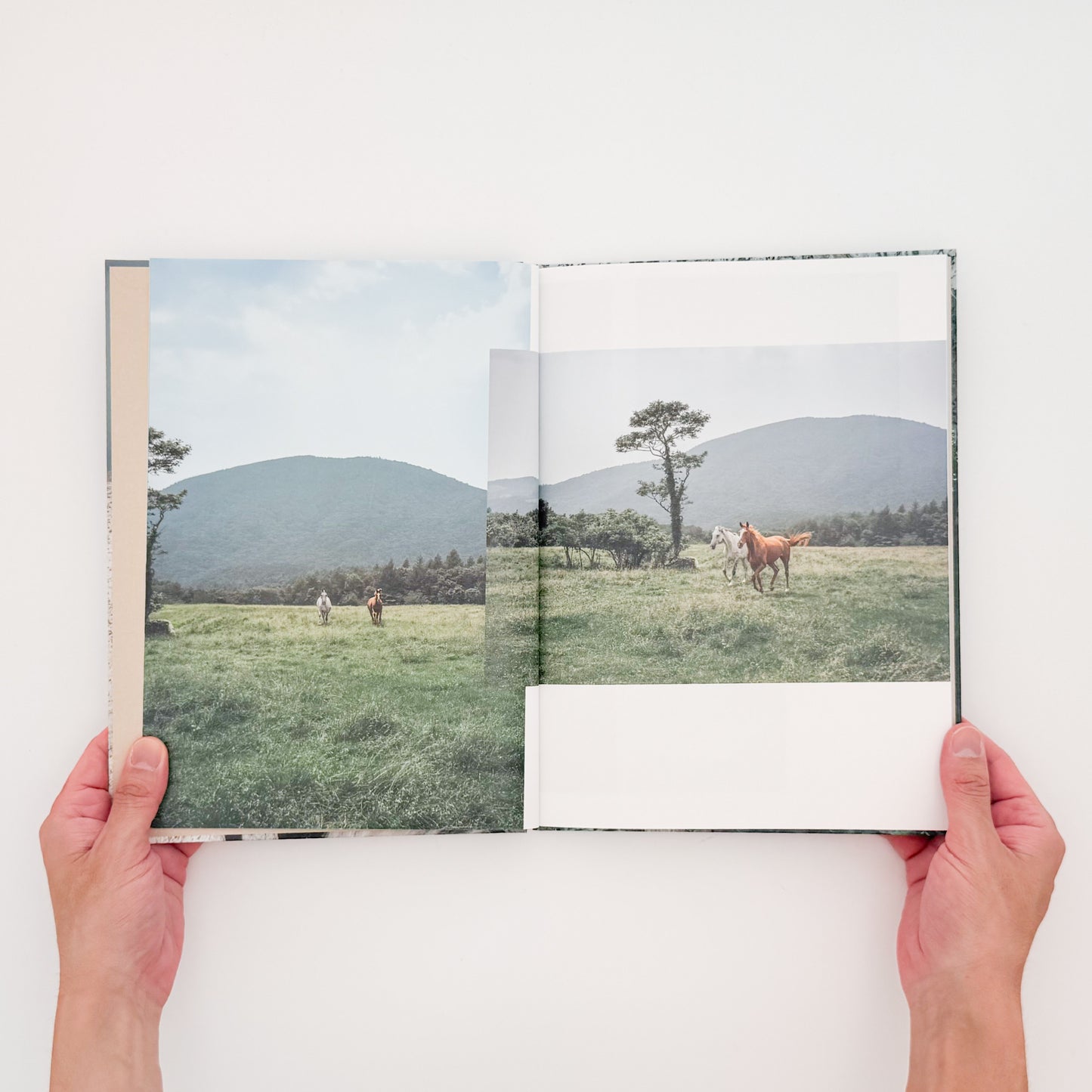 遠藤文香: ENDO Ayaka『Pneuma』roshin books刊行、遠野の馬と風景を撮影した写真集