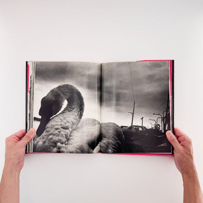 楢橋朝子『NU・E / NARAHASHI Asako PHOTOGRAPHS 1992-1997』蒼穹舎刊行、03FOTOSで発表された初期モノクローム作品を収録した写真集
