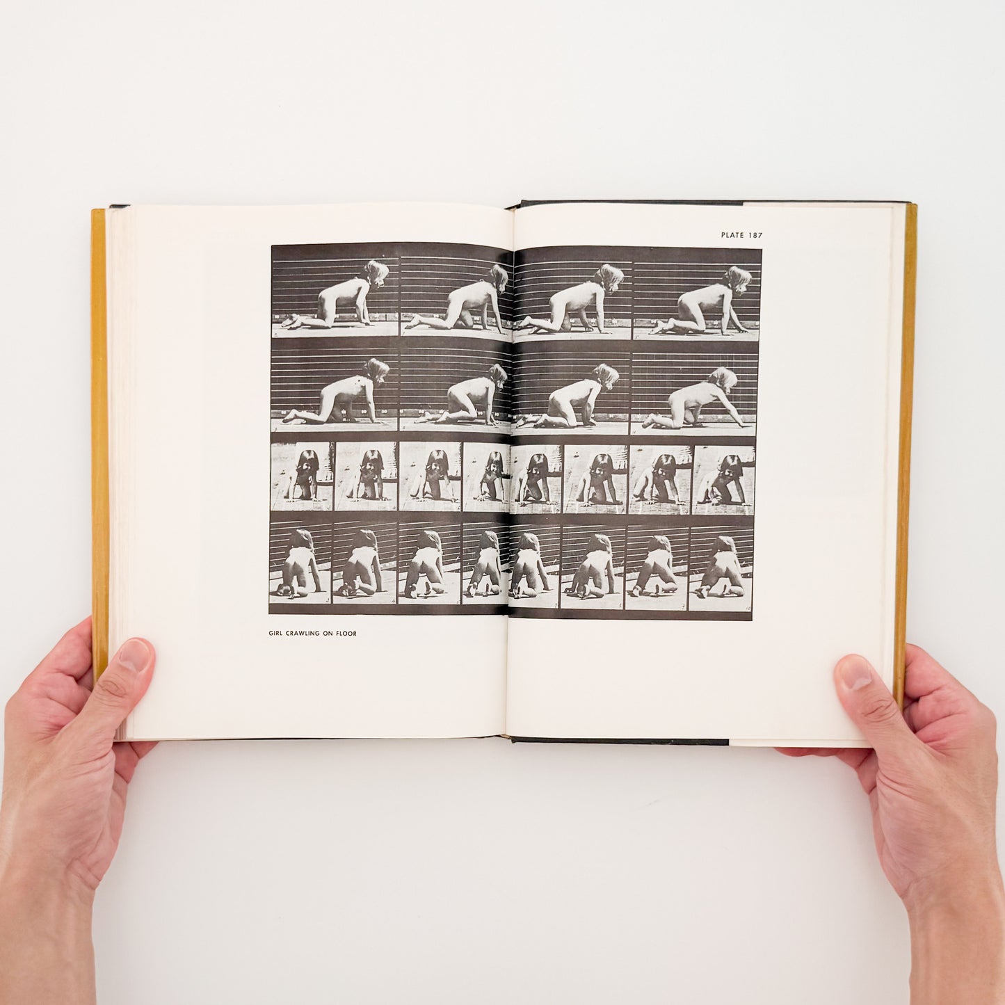 Eadweard Muybridge : Animals in Motion , The Human Figure in Motion｜DOVER - 文福