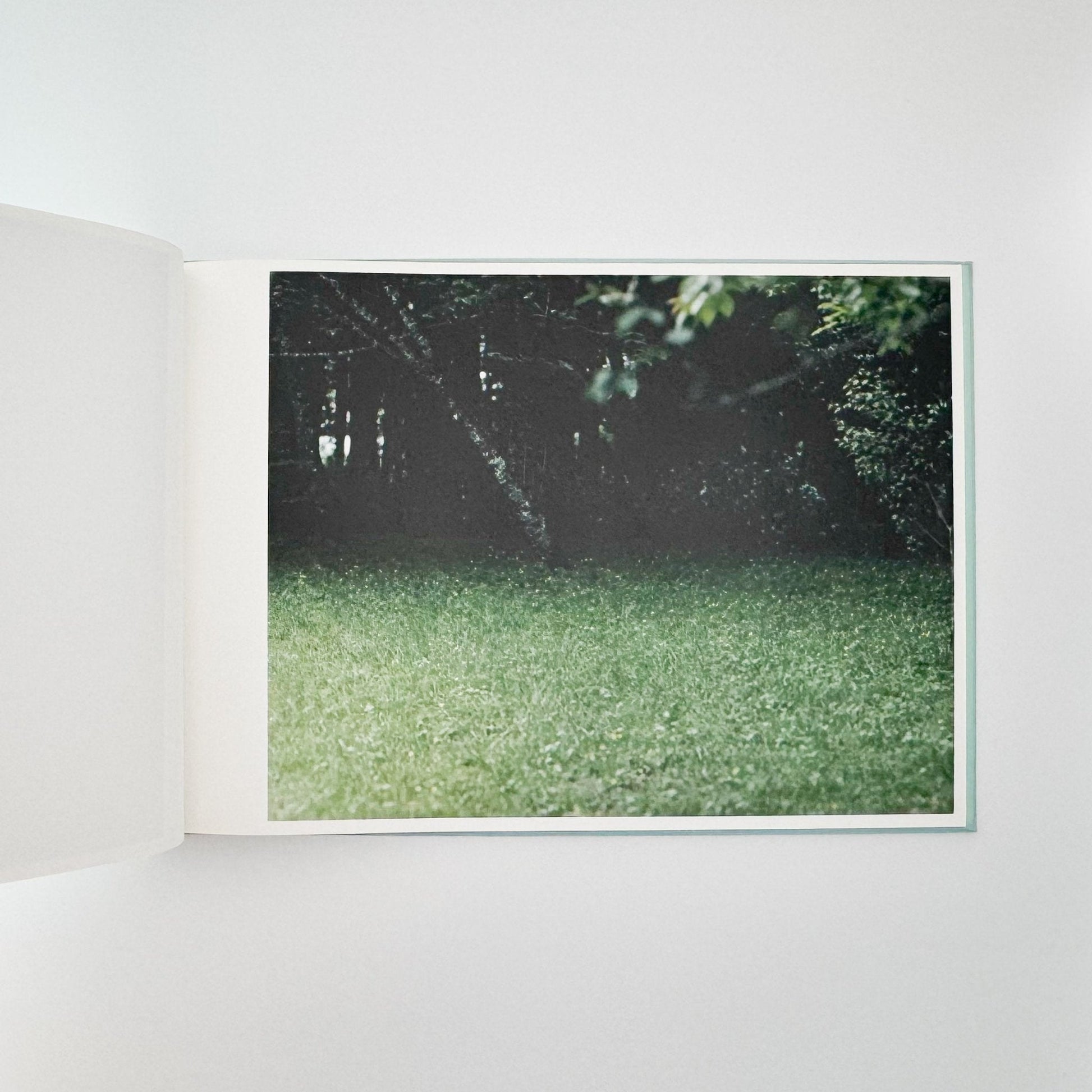 鈴木理策　海と山のあいだ Between the Sea and the Mountain – Kumano（サイン入り） - アマナサルト - 文福