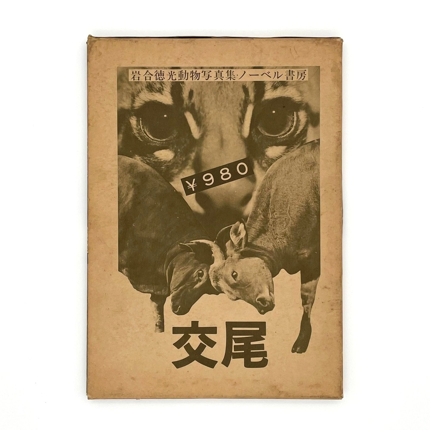 岩合徳光　交尾 - 文福