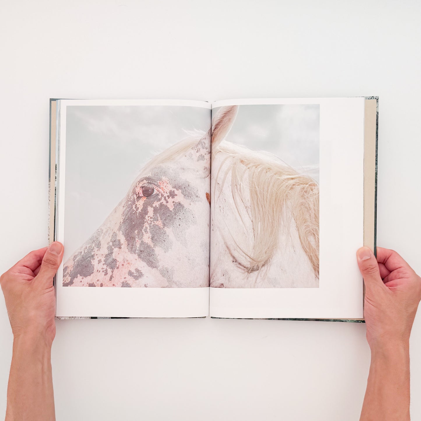 遠藤文香: ENDO Ayaka『Pneuma』roshin books刊行、遠野の馬と風景を撮影した写真集