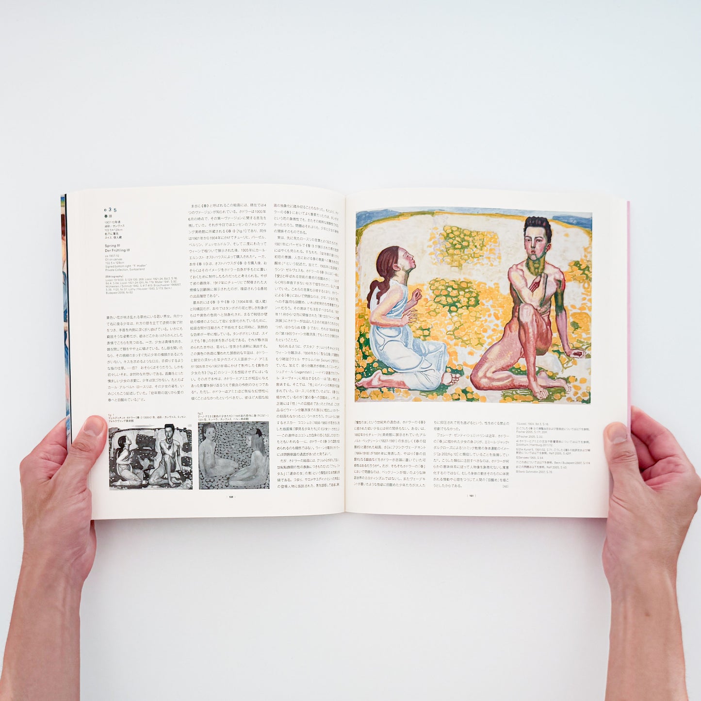 『フェルディナント・ホドラー展 / Ferdinand Hodler: Towards Rhythmic Images』NHK・NHKプロモーション刊行、日本・スイス国交樹立150周年記念の大規模回顧展図録