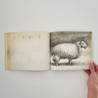 ヘンリー・ムーア　羊のスケッチブック Henry Moore's Sheep Sketchbook - 文福