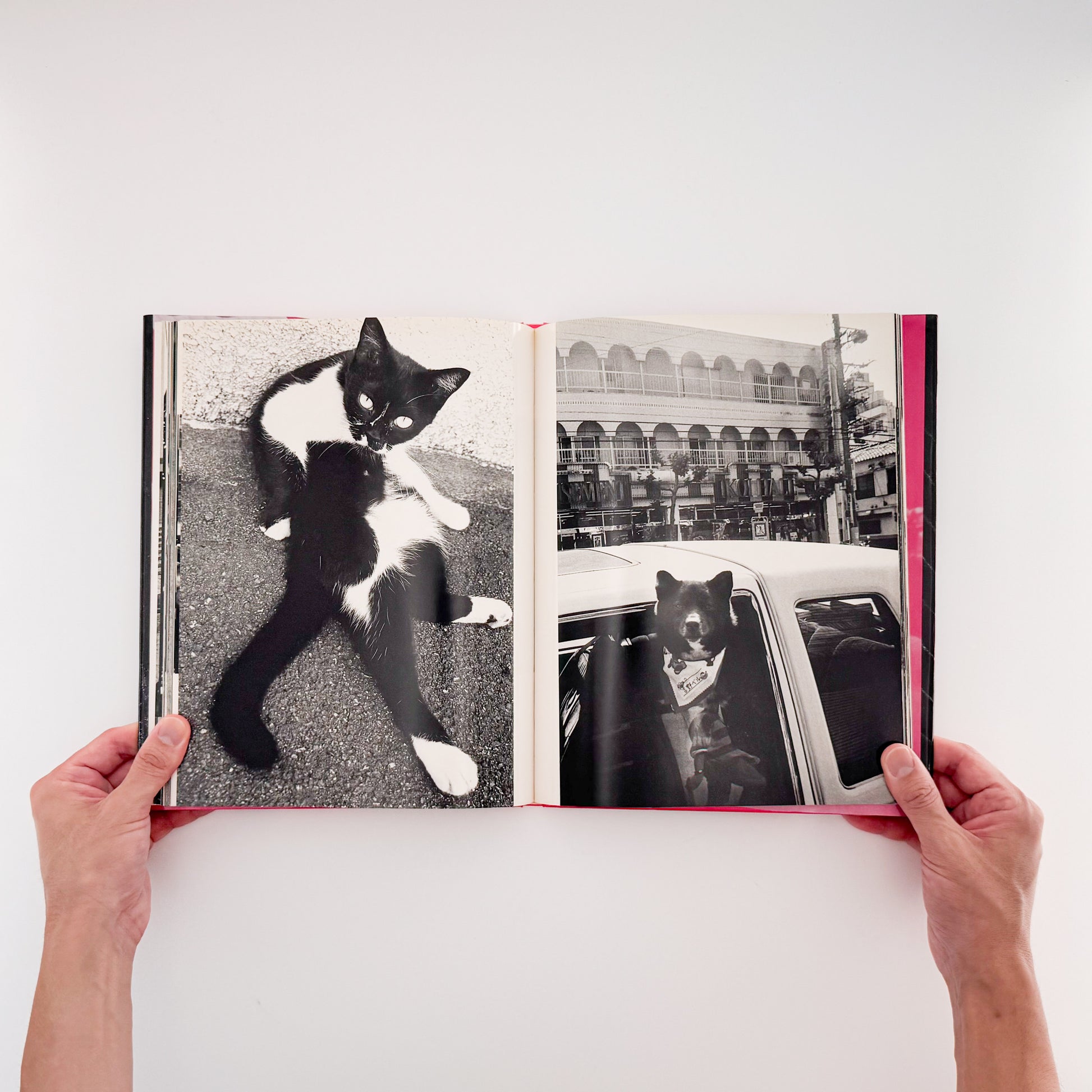楢橋朝子『NU・E / NARAHASHI Asako PHOTOGRAPHS 1992-1997』蒼穹舎刊行、03FOTOSで発表された初期モノクローム作品を収録した写真集