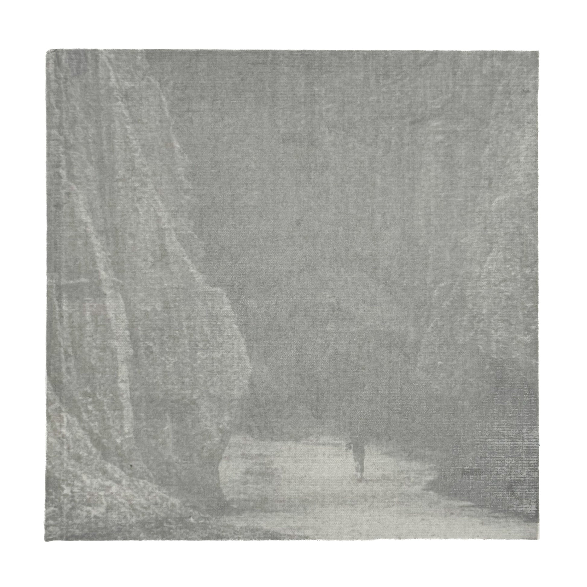 柳沢信　Untitled roshin books