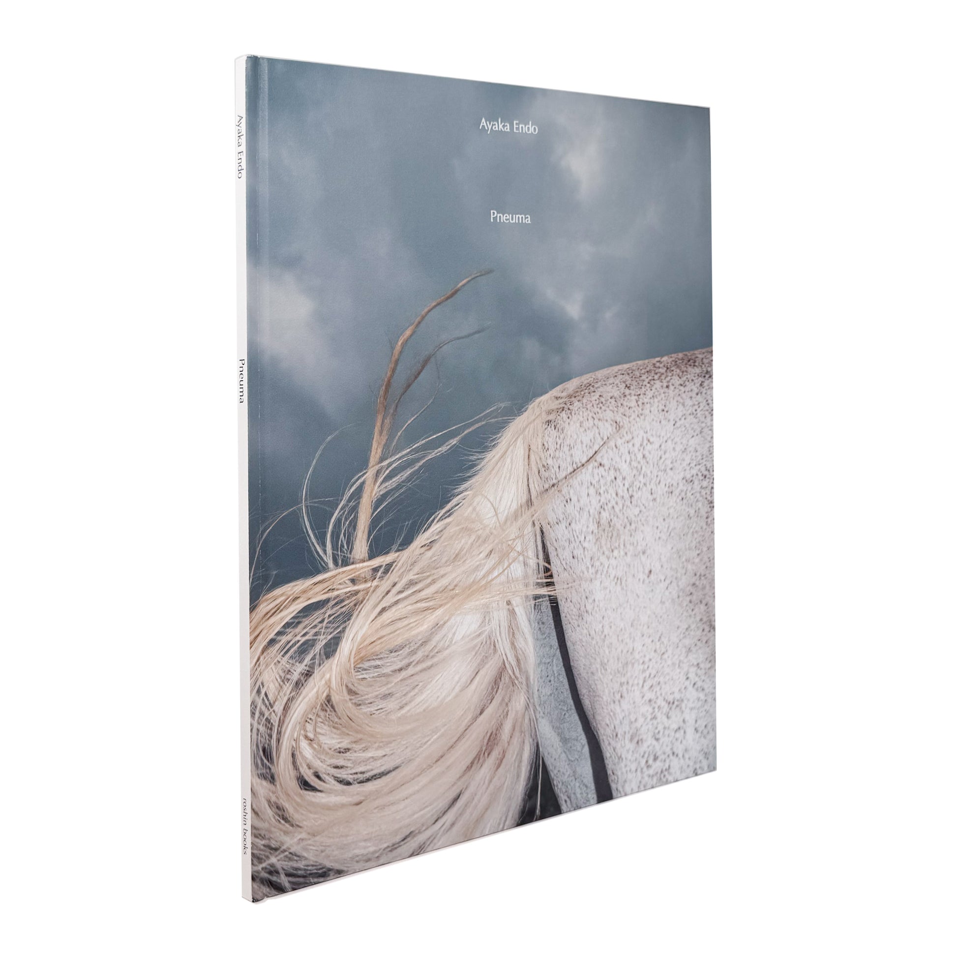 遠藤文香: ENDO Ayaka『Pneuma』roshin books刊行、遠野の馬と風景を撮影した写真集