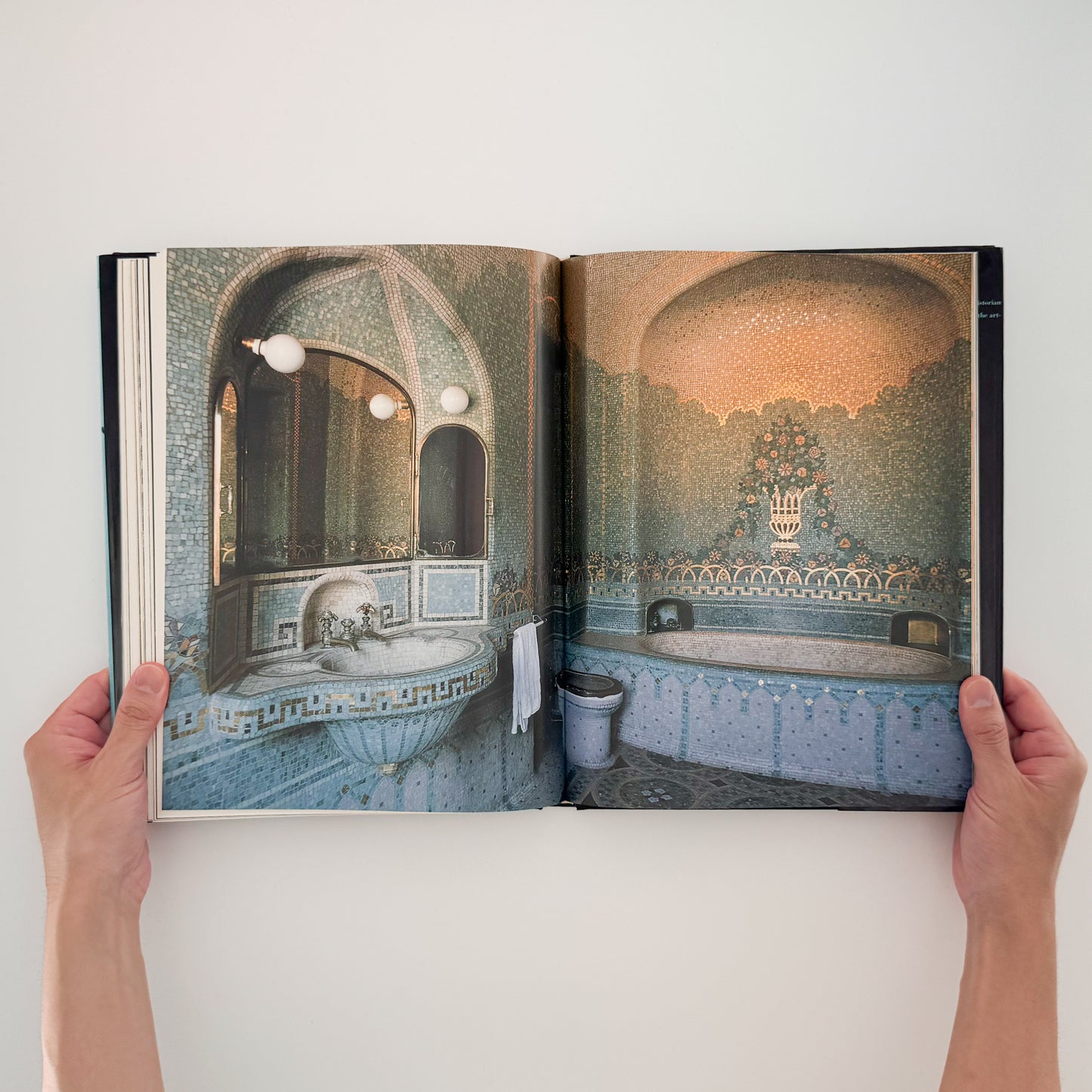 THE BOOK OF THE BATH