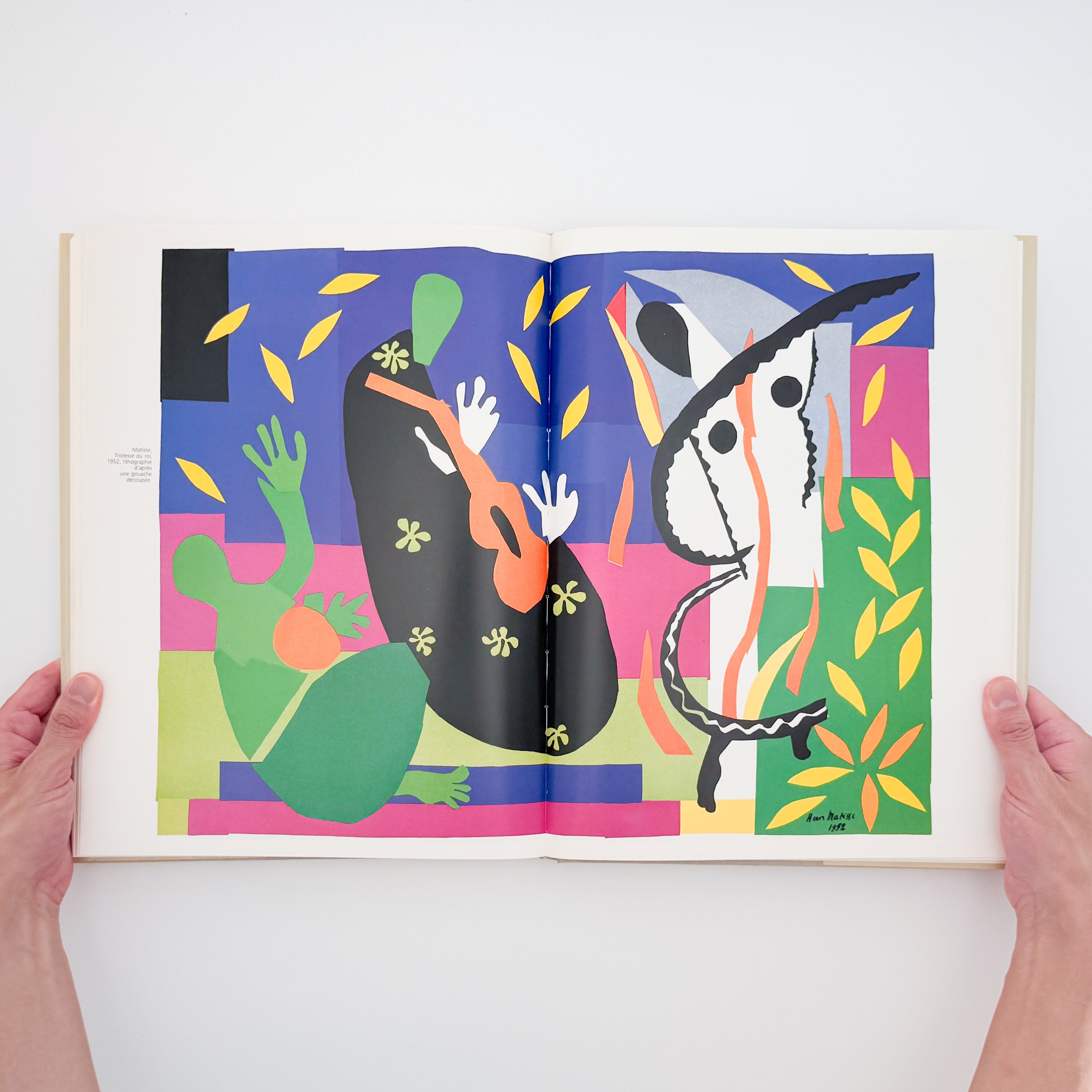 アルバム・ヴェルヴ Michel Anthonioz: L'Album Verve｜Editions
