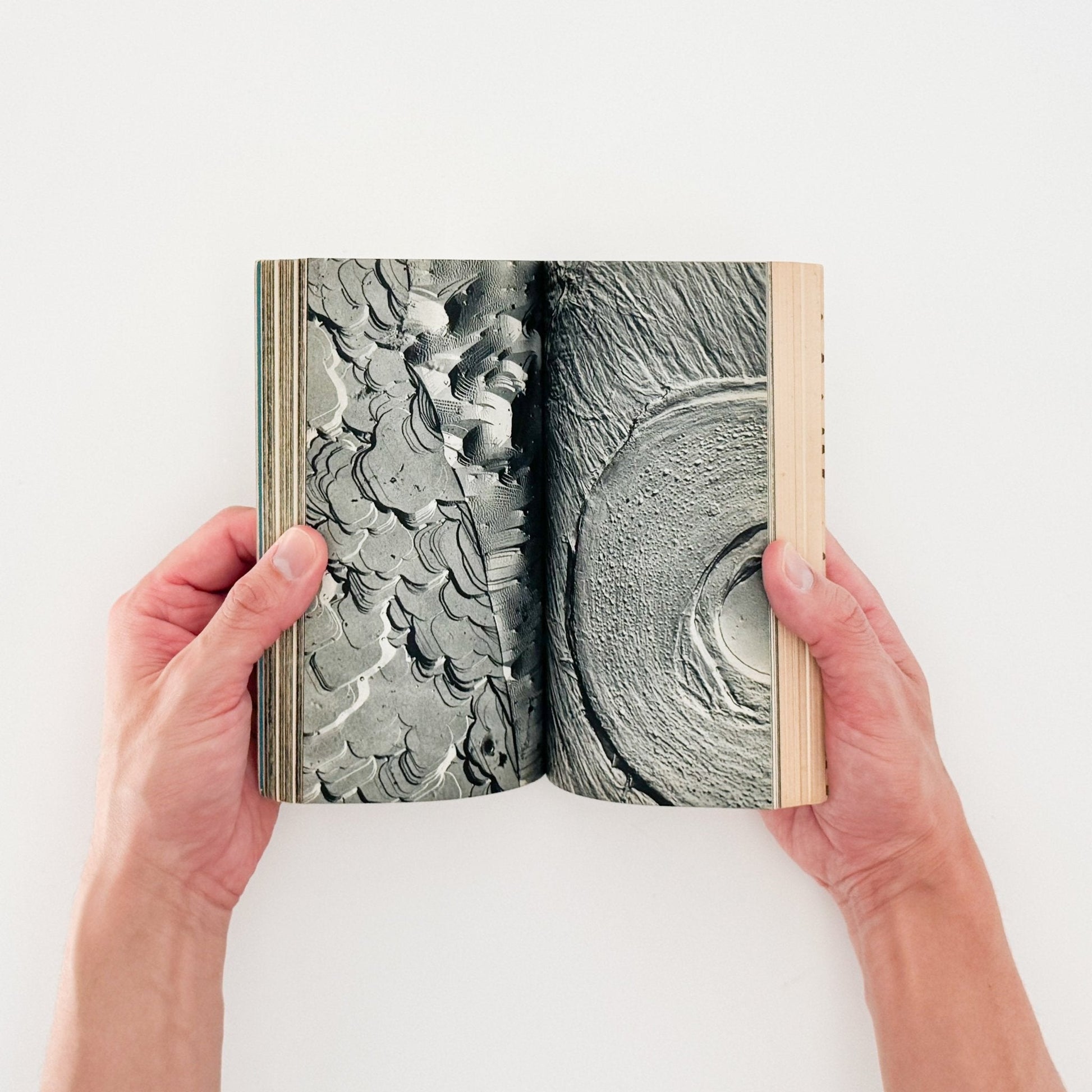 Here is JAPAN 2号 - 文福