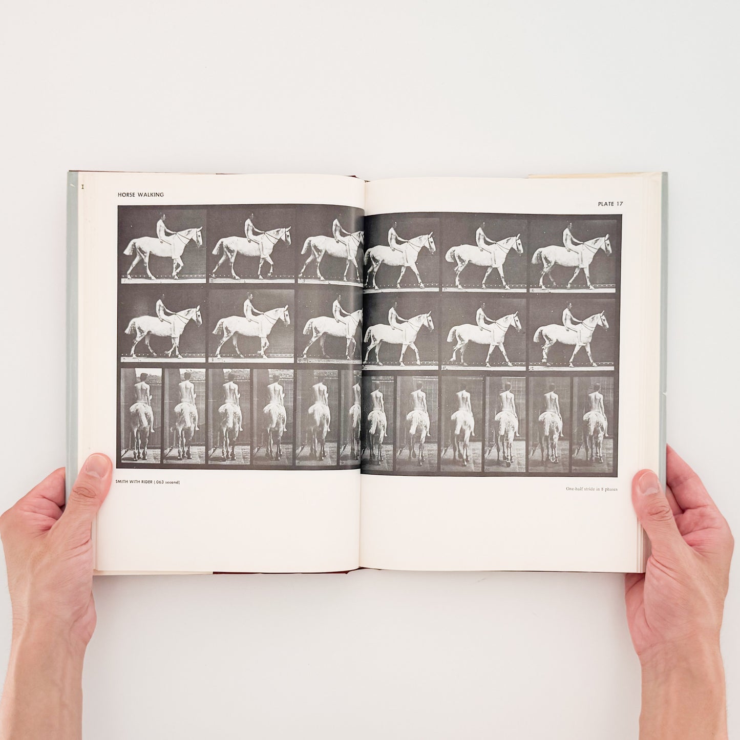 Eadweard Muybridge : Animals in Motion , The Human Figure in Motion｜DOVER - 文福