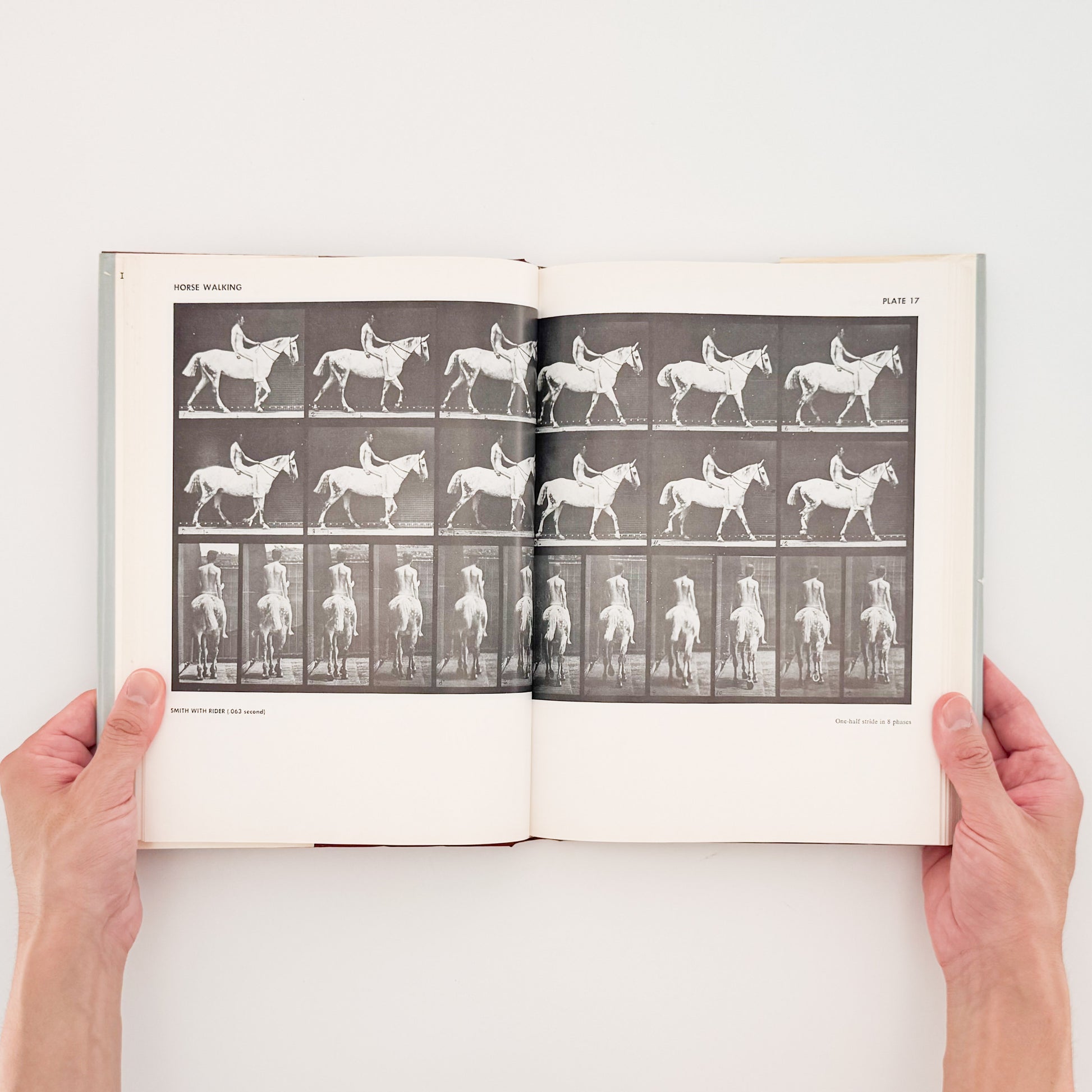 Eadweard Muybridge : Animals in Motion , The Human Figure in Motion｜DOVER - 文福