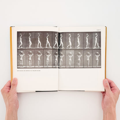 Eadweard Muybridge : Animals in Motion , The Human Figure in Motion｜DOVER - 文福