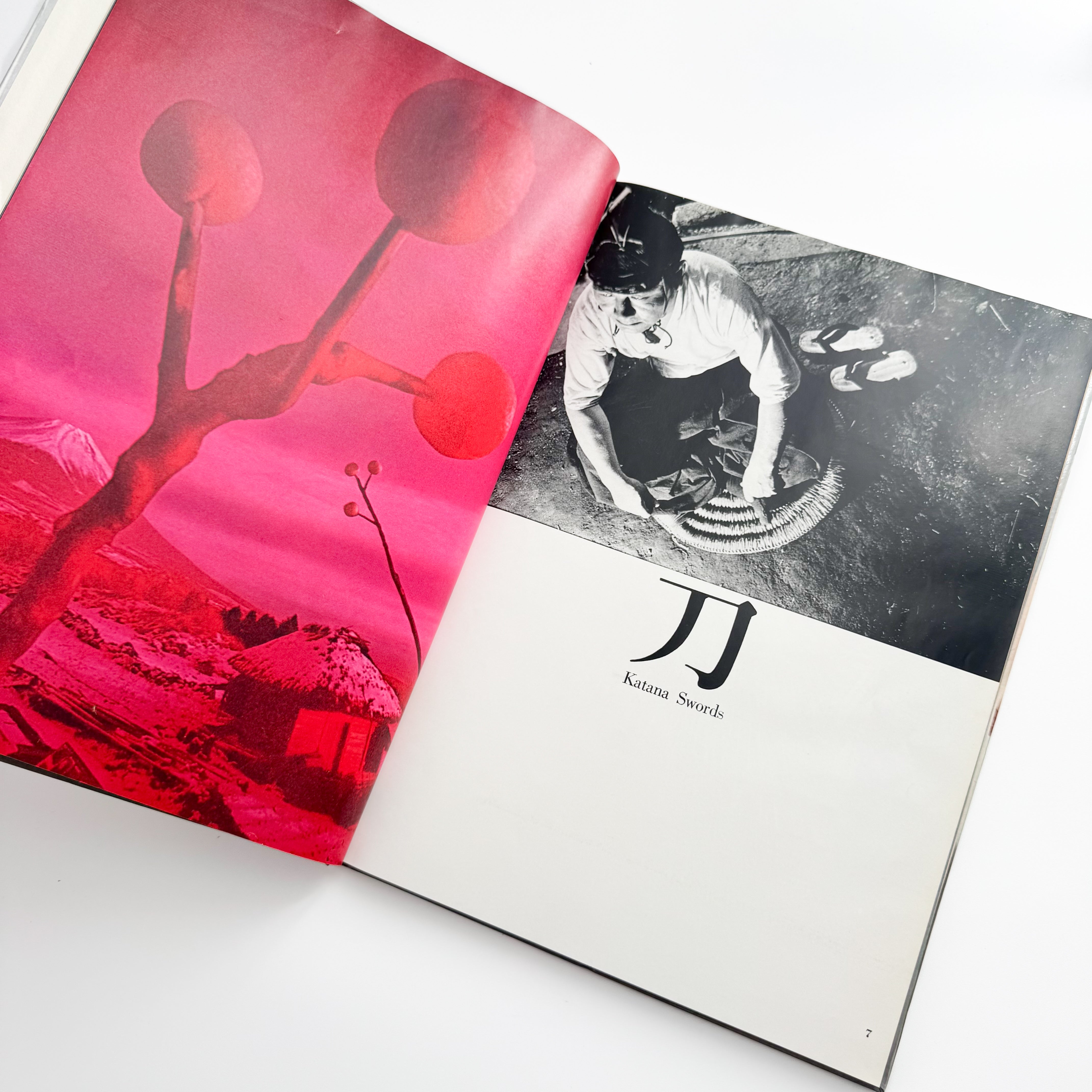 奈良原一高写真集 ジャパネスク JAPANESQUE – 文福