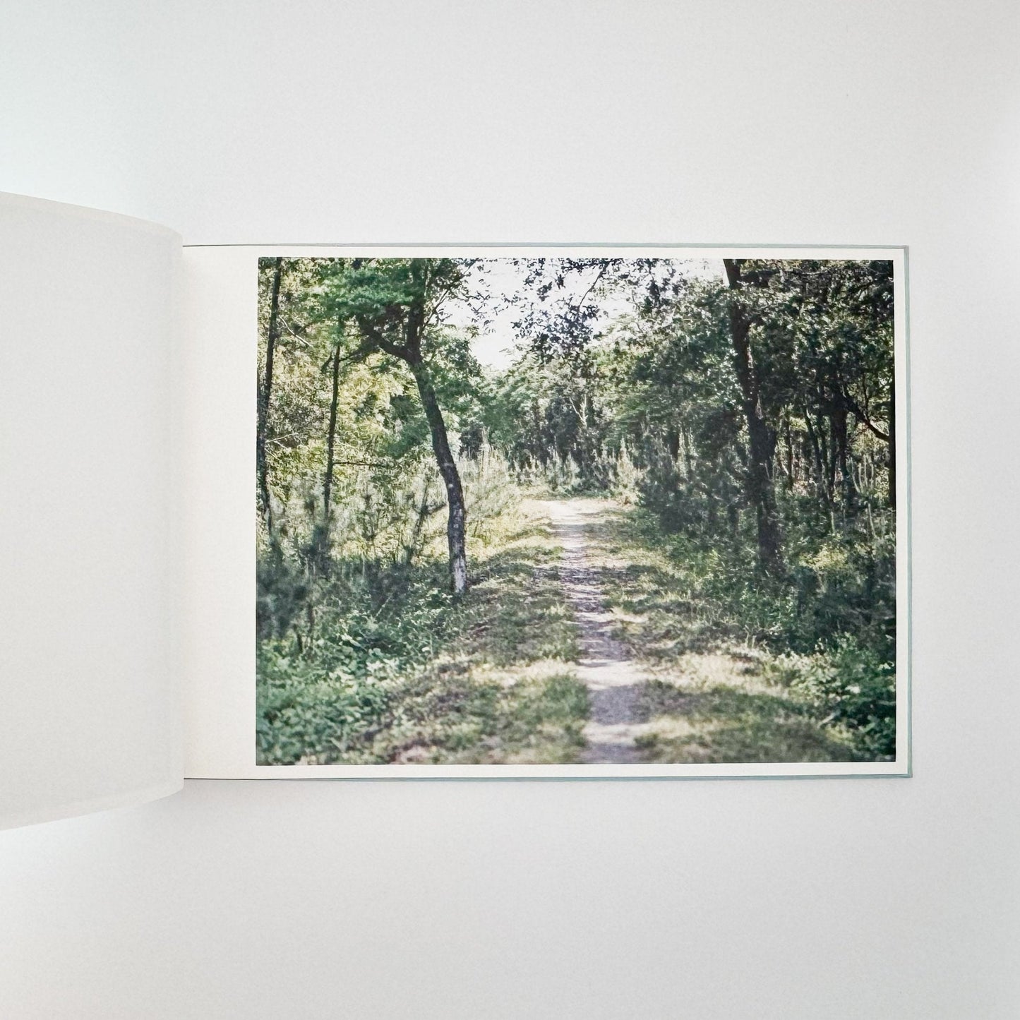 鈴木理策　海と山のあいだ Between the Sea and the Mountain – Kumano（サイン入り） - アマナサルト - 文福