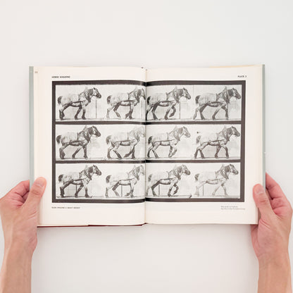Eadweard Muybridge : Animals in Motion , The Human Figure in Motion｜DOVER - 文福