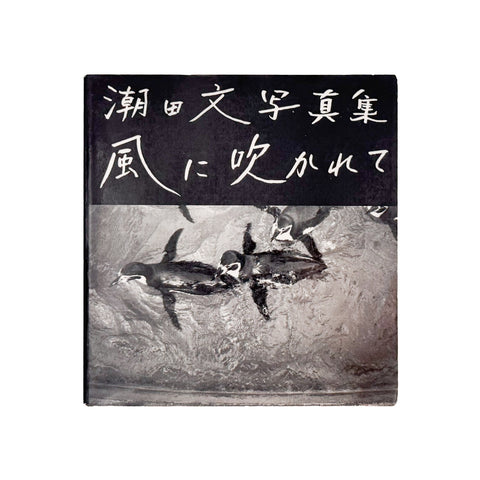 風に吹かれて